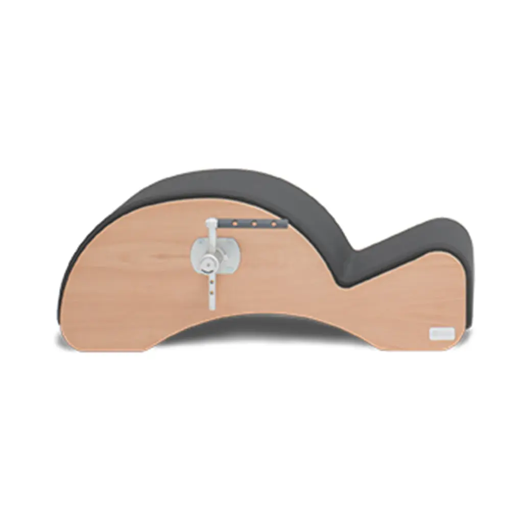 Basi Systems Spine Corrector + F2 System