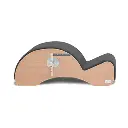 Basi Systems Spine Corrector + F2 System