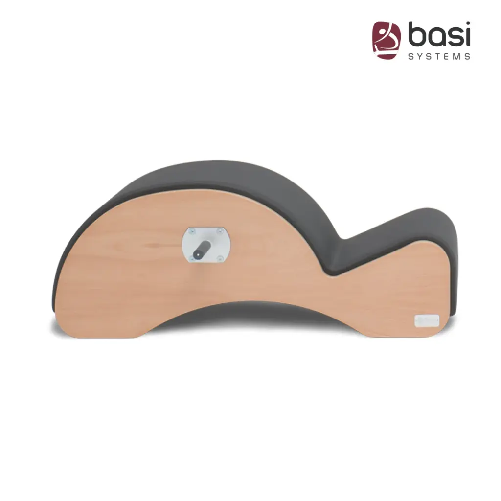 Basi Systems Spine Corrector