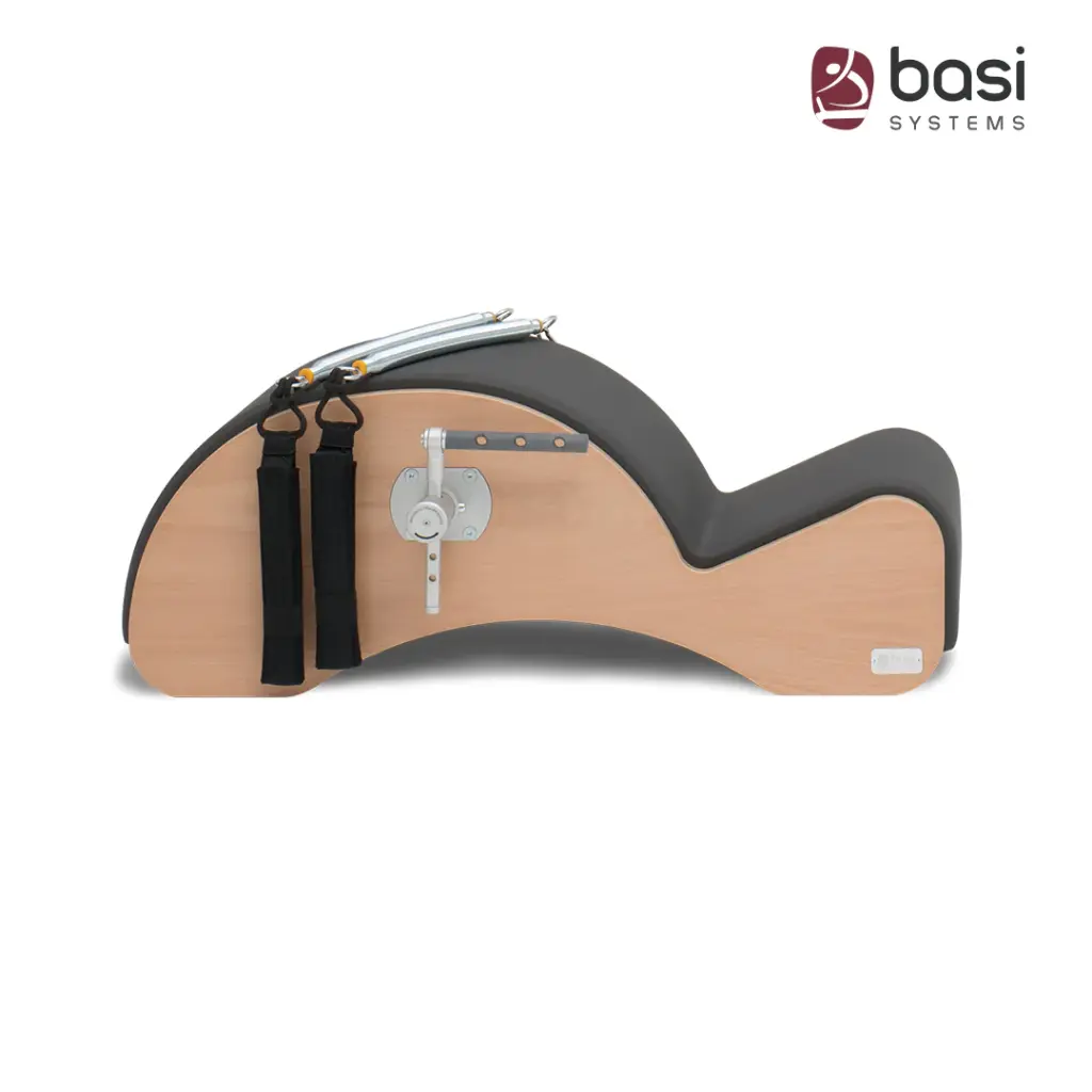 Basi Systems Spine Corrector + F2 System