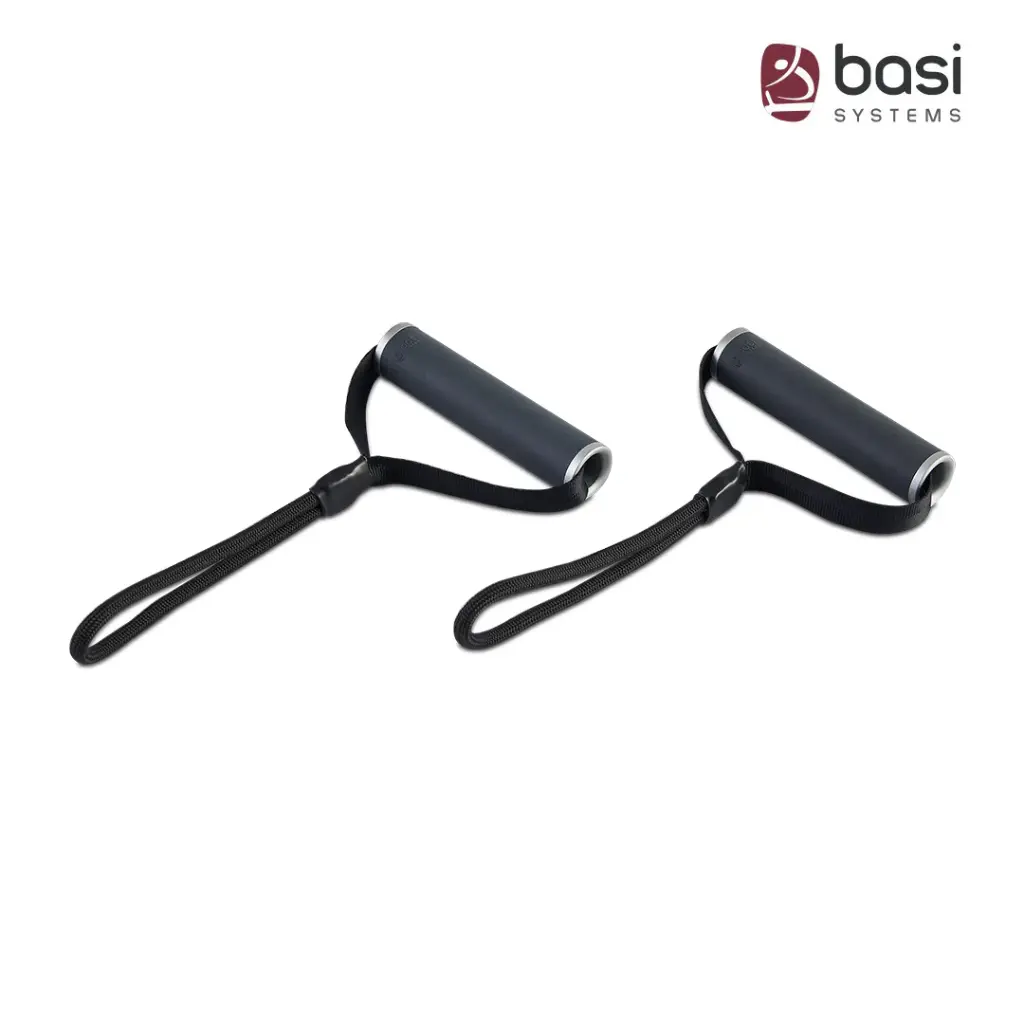 Basi Systesm Aluminum Handles